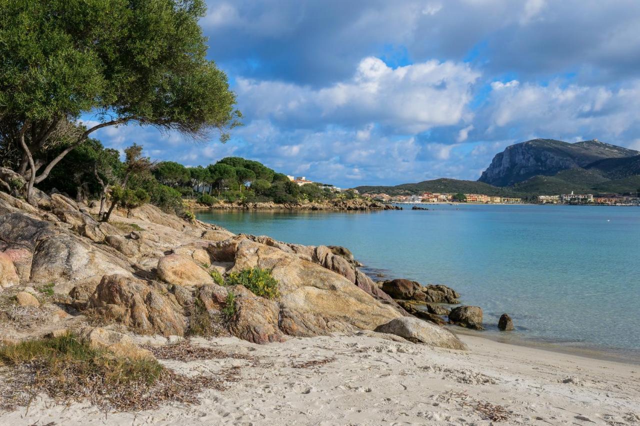 Appartamento Trilo Orizzonti 20 Golfo Aranci Esterno foto